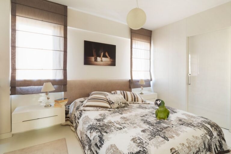 Can You Keep Birds in Your Bedroom