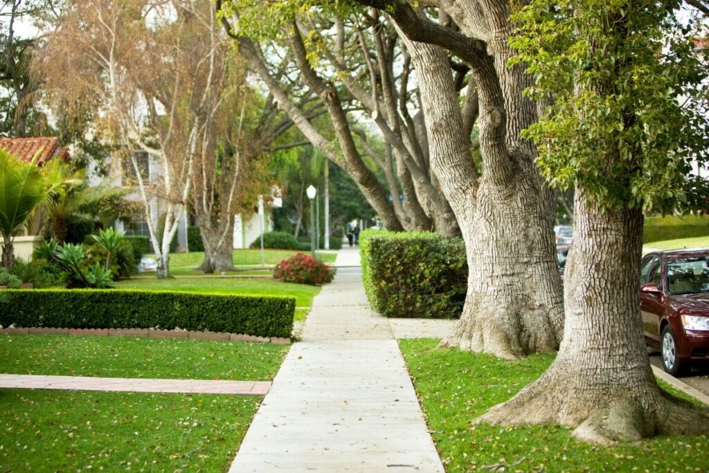 Sidewalk of a Suburban Neighborhood