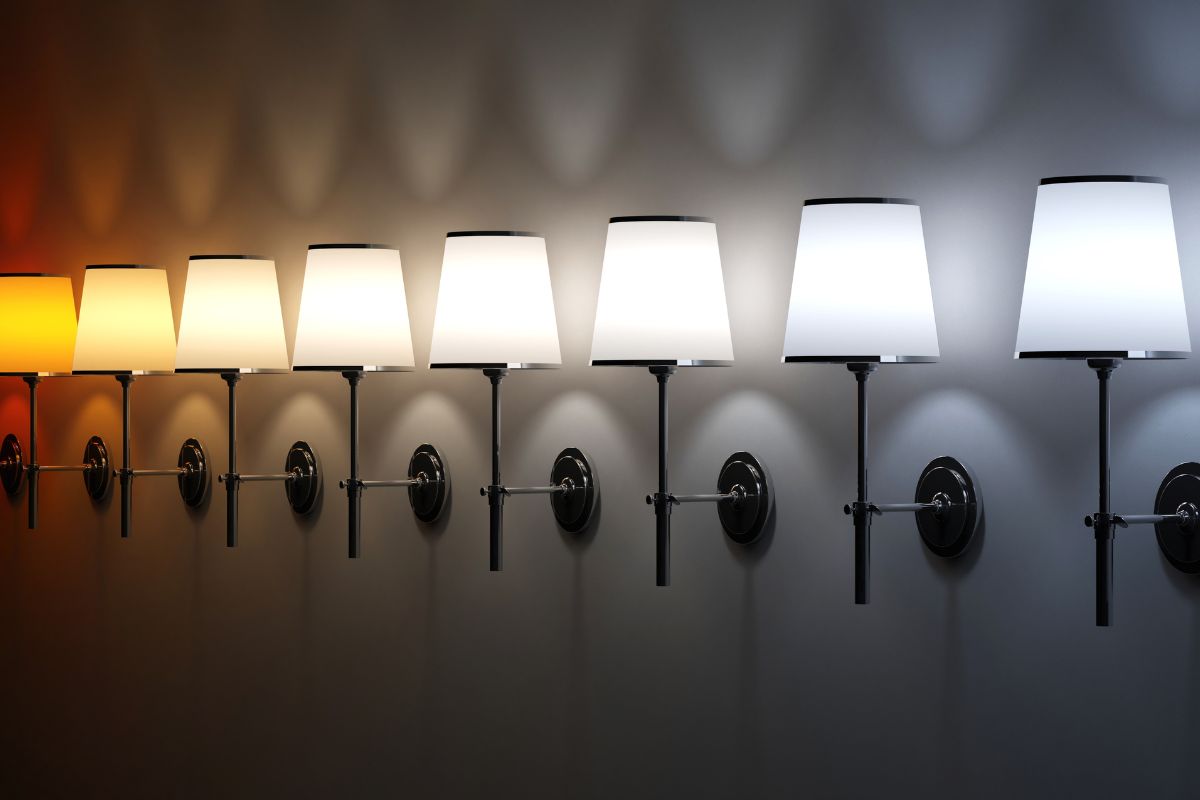 Are LED Lights Bad for Parakeets Petsmopolitan