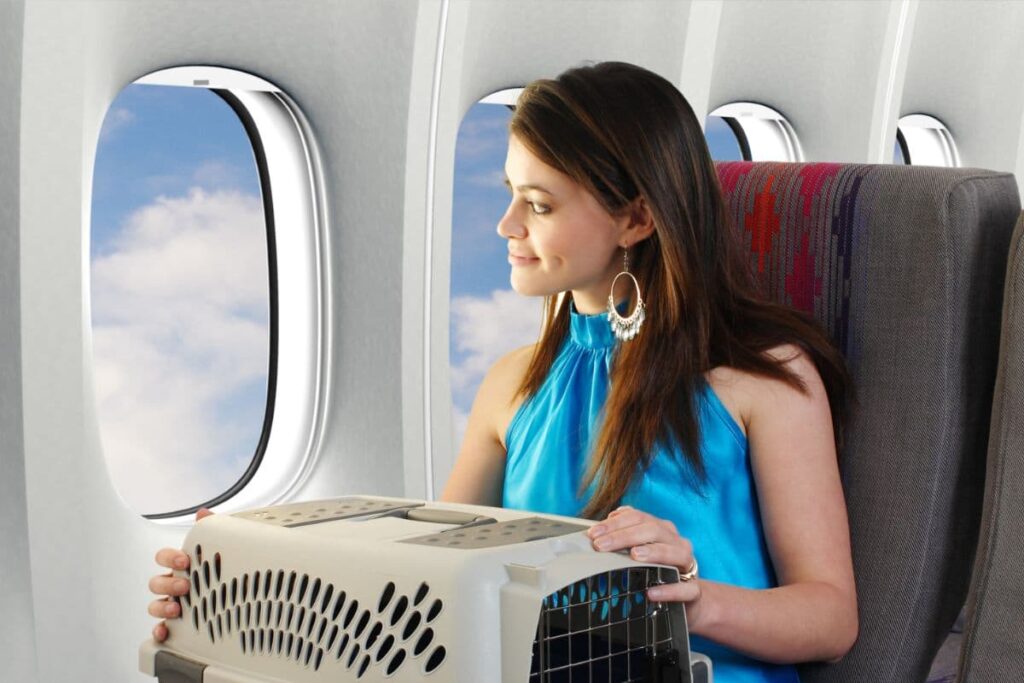 Woman Carrying a Pet Cage on a Plane