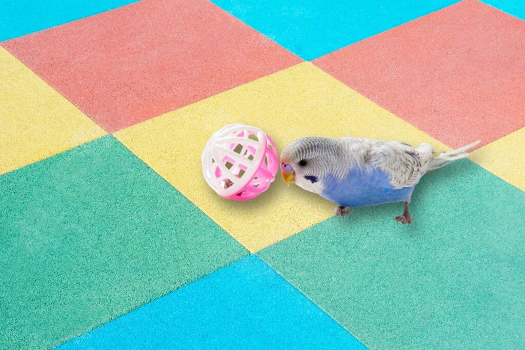 Parakeet Playing with a Ball Toy
