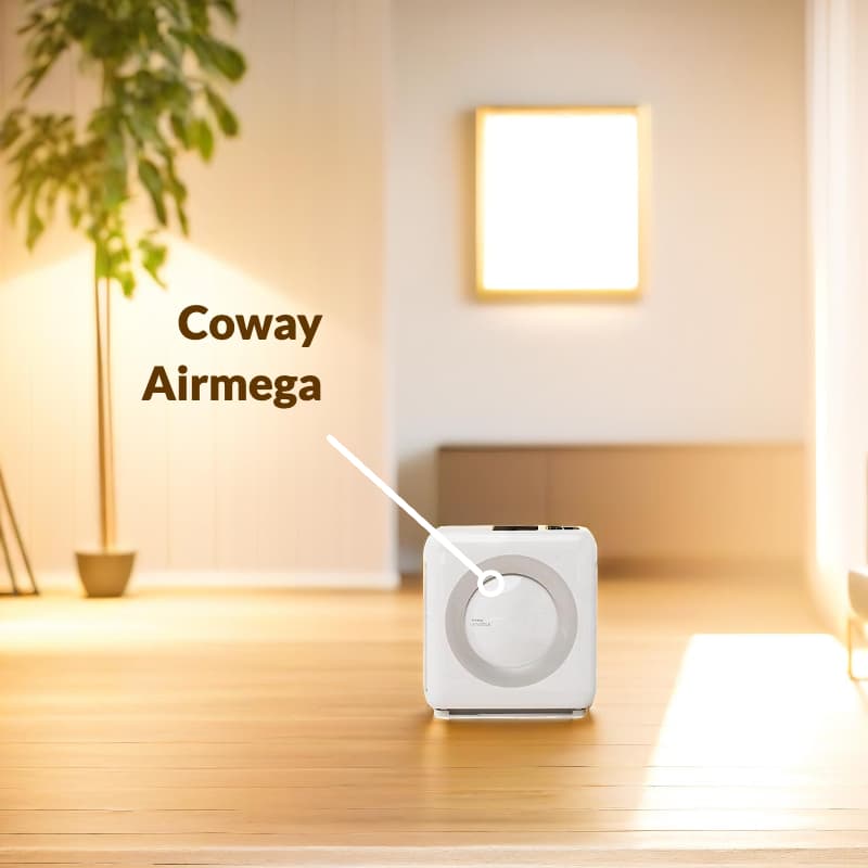 Coway Airmega